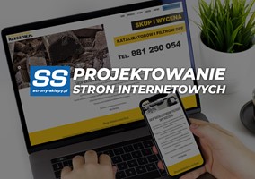 Strony internetowe Bydgoszcz - skuteczne, profesjonalne
